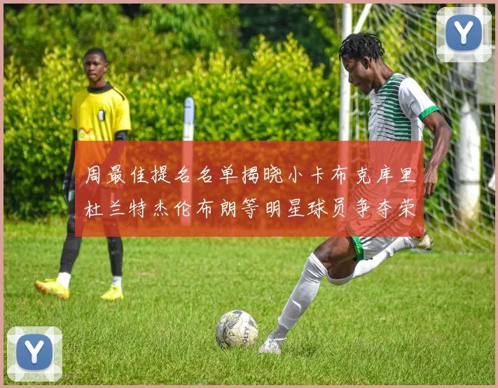 周最佳提名名单揭晓小卡布克库里杜兰特杰伦布朗等明星球员争夺荣誉