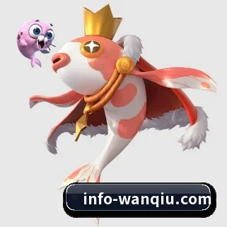 玩球直播 APP