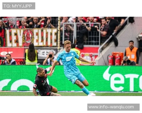 多特蒙德关注霍芬海姆前锋阿斯拉尼拜仁并不将其列为首要引援目标